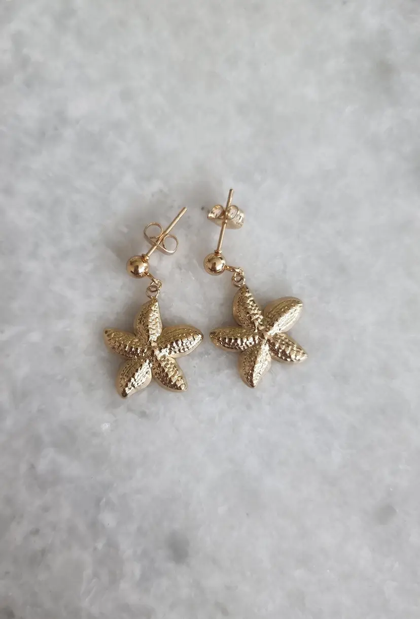 Cute starfish stud earrings, stainless steel